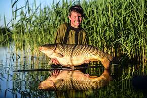 Erven Janovice Sckv023-ka