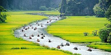 Room in House - Trang An Ao Dai Homestay - Double Room With Field View