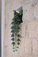 La Casa di LùAle e Zoe