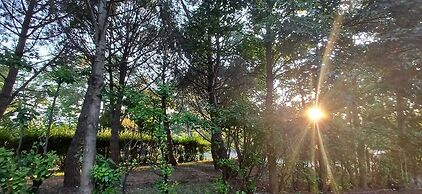Casale Trifoglio