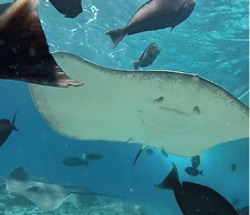 Noah Private Beach House