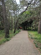 Private rooms in togo beach side house