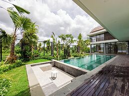 Nasha Stana Ricefields View