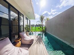 Nasha Stana Ricefields View