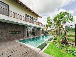 Nasha Stana Ricefields View