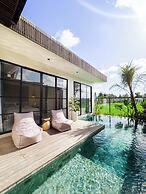 Nasha Stana Ricefields View