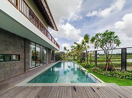 Nasha Stana Ricefields View