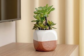 Elegant Apartment for 4 by Renters