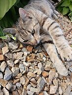 Comfortable Mobile Home in the Countryside