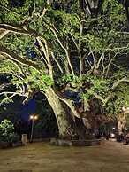 Grandpa s Ouse in Tsagkarada