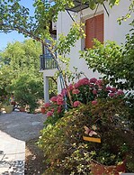 Grandpa s Ouse in Tsagkarada