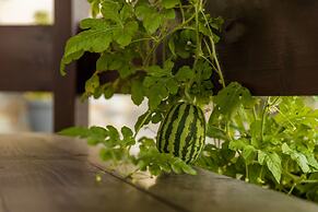 Villa Galani Agios Stefanos