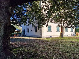 Eighteenth-century Tuscan Villa Tricolle