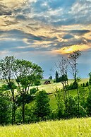 V Chov nad Jizerou Lvv033