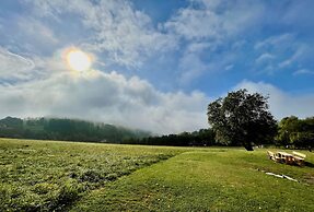 V Chov nad Jizerou Lvv033