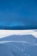 V Chov nad Jizerou Lvv033