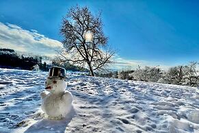 V Chov nad Jizerou Lvv033