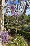 Trulli Mimosa by Pugliadamare