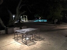 Trulli Mimosa by Pugliadamare