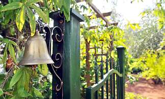 Trulli Mimosa by Pugliadamare