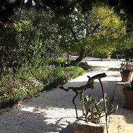 Trulli Mimosa by Pugliadamare