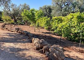 Trulli Mimosa by Pugliadamare