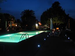 Trulli Mimosa by Pugliadamare