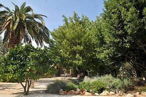 Trulli Mimosa by Pugliadamare