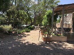 Trulli Mimosa by Pugliadamare