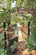 Trulli Mimosa by Pugliadamare