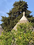 Trulli Mimosa by Pugliadamare