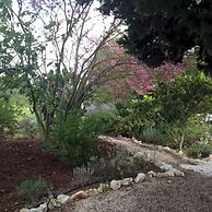 Trulli Mimosa by Pugliadamare