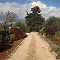 Trulli Mimosa by Pugliadamare