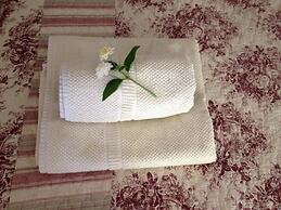 Trulli Mimosa by Pugliadamare