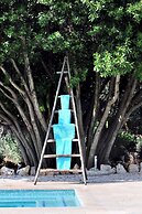 Trulli Mimosa by Pugliadamare