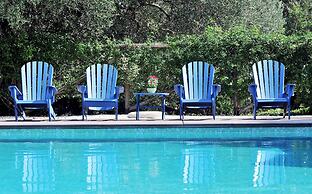 Trulli Mimosa by Pugliadamare