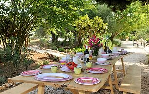 Trulli Mimosa by Pugliadamare