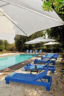 Trulli Mimosa by Pugliadamare