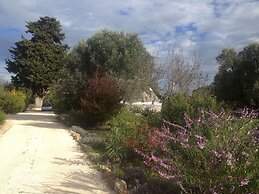 Trulli Mimosa by Pugliadamare