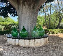 Trulli Mimosa by Pugliadamare