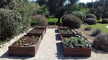 Trulli Stella in Ceglie Messapica