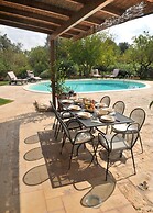 Trulli Stella in Ceglie Messapica