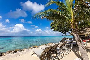 Caribbean Delight Villa With Stunning Pool View