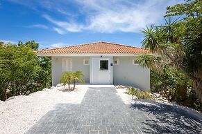 Caribbean Delight Villa With Stunning Pool View