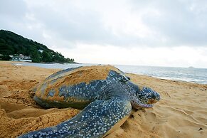 Appartement Cayenne Chic Design Élégant