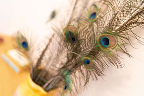 Red Squirrel Cottage Pet Friendly Family Adventure Retreat in Aberdeen