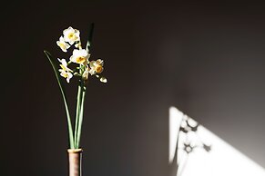 NIPPONIA KOSA CANAL TOWN