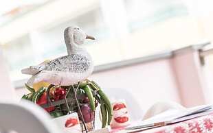 COSTA RICA BIBIONE Eco Resort