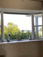 Waterfront Paradise on half an acre