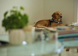 Illuminati Guest House